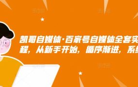 凯哥自媒体·百家号自媒体全套实战赚钱教程,从新手开始,循序渐进,系统的讲解