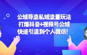 公域导流私域流量玩法：打爆抖音 视频号公域
