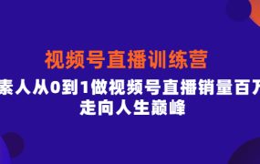 视频号直播训练营,素人从0到1做视频号直播销量百万,走向人生巅峰