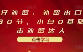 业仔外贸:外贸出口详解30节,小白0基础进击外贸达人 价值666元