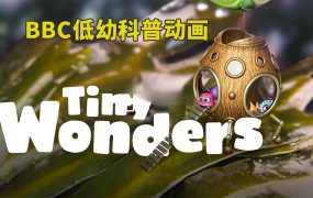 BBC英文科普动画《Tiny Wonders》全1-2季共20集,教你学会观察、探索自然界小奇观!1080P高清视频带英文字幕,百度网盘下载