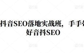 王通·抖音SEO落地实战班,手手带你做好音抖SEO