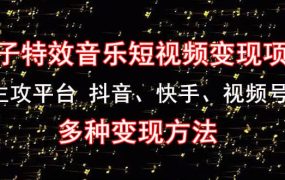 《粒子特效音乐短视频变现项目》主攻平台 抖音、快手、视频号 多种变现方法