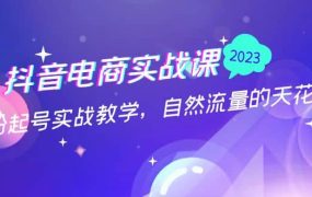 抖音电商实战课:0粉起号实战教学,自然流量的天花板(2月19最新)