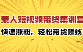 素人短视频带货集训营:快速涨粉,轻松带货赚钱