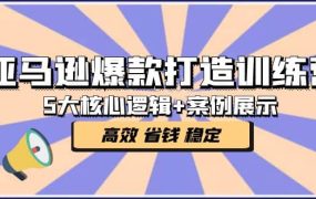 亚马逊爆款打造训练营:5大核心逻辑 案例展示 打造爆款链接 高效 省钱 稳定