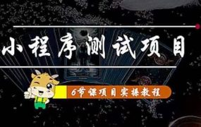 小程序测试项目 从星图 搞笑 网易云 实拍 单品爆破 抖音抖推猫小程序变现