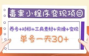 毒案小程序变现项目：养号 对标 工具素材 实操 变现