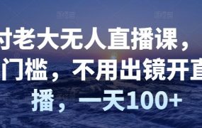 付老大无人直播课,无门槛,不用出镜开直播,一天100