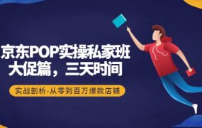 京东POP实操私家班:大促篇,3天时间,实战剖析-从零到百万爆款店铺