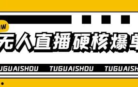 大飞无人直播硬核爆单技术,轻松玩转无人直播