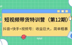短视频带货特训营(第12期)抖音 快手 视频号
