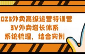2023外卖高级运营特训营:3V外卖-增长体系,系统-梳理,结合-实例