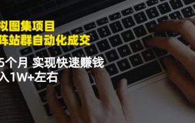 虚拟图集项目:矩阵站群自动化成交,3-5个月实现快速赚钱月入1W 左右