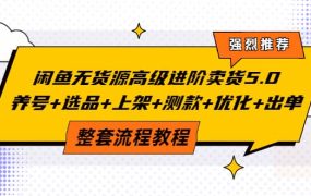 闲鱼无货源高级进阶卖货5.0,养号 选品 上架 测款 优化 出单整套流程教程