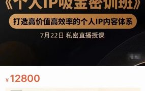 个人IP吸金密训班,打造高价值高效率的个人IP内容体系(价值12800元)