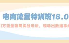 电商流量特训班18.0,直引万流量破局实操玩法,现场出数据拿结果