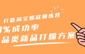 打造淘宝爆款训练营,90%成功率:全品类新品打爆方案