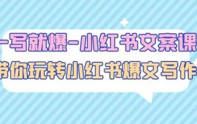 一写就爆-小红书文案课:带你玩转小红收爆文写作(45节课)