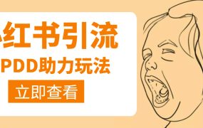 利用小红书卖拼多多助力