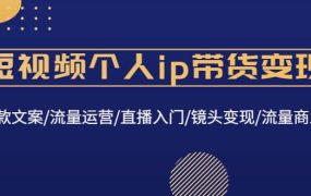 短视频个人ip带货变现:爆款文案/流量运营/直播入门/镜头变现/流量商业