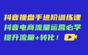 抖音操盘手进阶训练课：抖音电商流量运营必学，提升流量 转化
