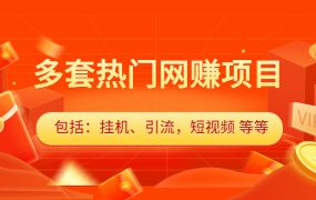 多套vip课程合集,价值千元