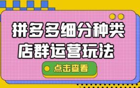 拼多多细分种类店群运营玩法3.0,11月最新玩法,小白也可以操作