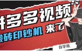 拼多多视频搬砖印钞机玩法,2021年最后一个短视频红利项目