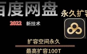 百度网盘无限扩容技术，外面卖399的，自用或出售都可以