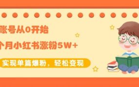新账号从0开始3个月小红书涨粉5W 实现单篇爆粉,轻松变现(干货)