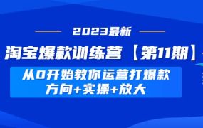 淘宝爆款训练营【第11期】 从0开始教你运营打爆款，方向 实操 放大