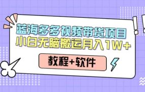 人人都能操作的蓝海多多视频带货项目 小白无脑搬运(教程 软件)