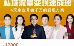 桔子会·私域流量变现速成班,4天拿走月销千万的变现方案 价值12800元