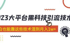 价值4899的2023大平台黑科技引流技术 29节课