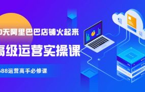 【90天阿里巴巴店铺火起来】高级运营实操课,1688运营高手必修课