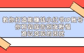 教你打造能赚钱小红书IP账号,了解透彻小红书的真正玩法