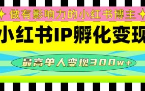 某收费培训-小红书IP孵化变现:做有影响力的小红书博主