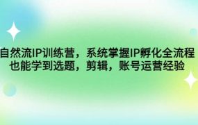 自然流IP训练营,系统掌握IP孵化全流程,也能学到选题,剪辑,账号运营经验