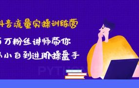 抖音流量实操训练营:百万粉丝讲师带你从小白到进阶操盘手