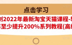 樊剑2022年最新淘宝天猫课程-转化率至少提升200%系列教程(高级)