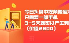 今日头条中视频搬运项目,只需要一部手机3-5天就可以产生利润(价值2800)