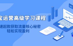 淘宝运营高级学习课程:快速获取流量核心秘密,轻松实现盈利!