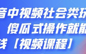 抖音中视频社会类玩法,傻瓜式操作就能赚钱【视频课程】