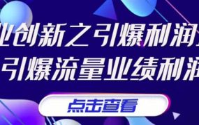 张琦《商业创新之引爆利润增长》引爆流量业绩利润