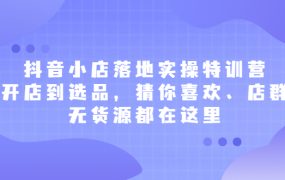 抖音小店落地实操特训营，从开店到选品，猜你喜欢、店群、无货源都在这里