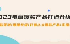 2023电商爆款产品打造升级课：爆款策划/思维升级/打造2.0爆款产品/【推荐】