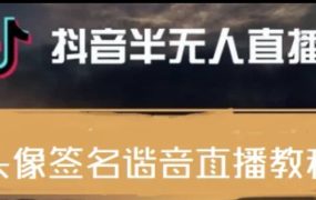 最近火爆的抖音头像签名设计半无人直播直播项目:直播教程 素材 直播话术