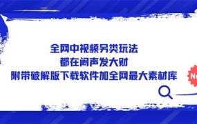 全网中视频另类玩法,都在闷声发大财,附带下载软件加全网最大素材库