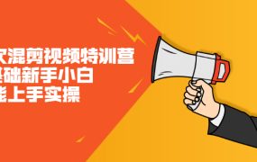 二次混剪视频特训营,0基础新手小白都能上手实操,两天开干